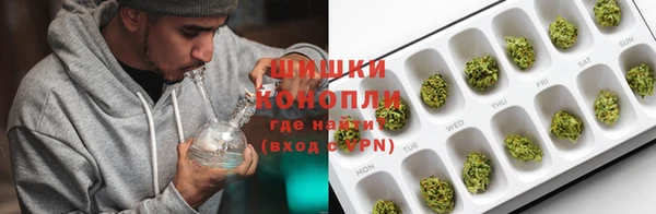 гашик Магас
