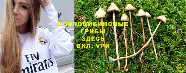 каннабис Майский